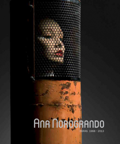 http://www.ananorogrando.com.br/files/gimgs/th-285_capa_obras_1968_2013.jpg